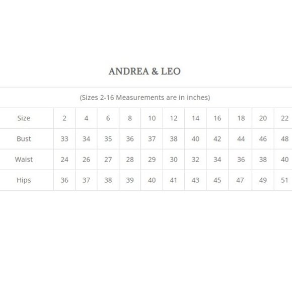 NEW LONG ONE SHOULDER LACE APPLIQUE A-LINE TULLE DRESS WITH ZIPPER BACK AL A1140 - Picture 3 of 9